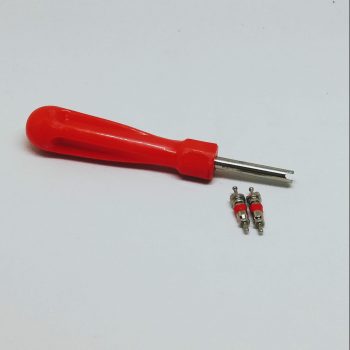 Schrader valve stem tool with 2 valves